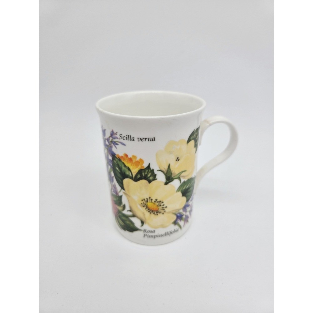 Crown Trent Fine Bone‎ China Scilla Anthyllis Mug Made in England Floral 4" Tall